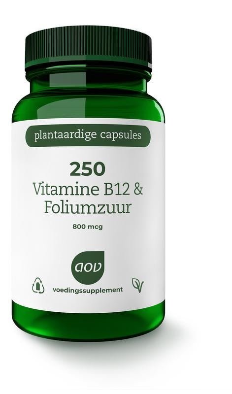 250 Vitamine B12 & foliumzuur - NowVitamins - AOV - 8715687702506