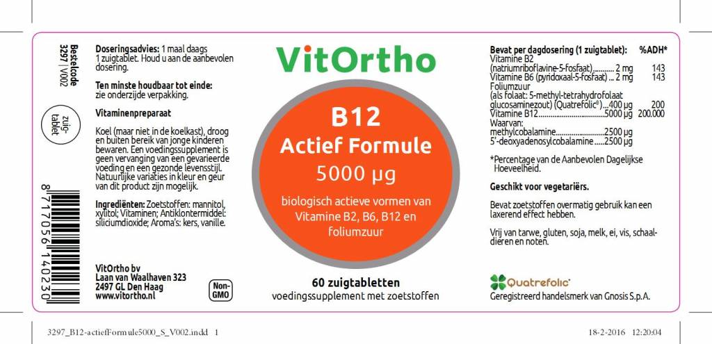 B12 Actief Formule 5000 µg - NowVitamins - VitOrtho - 8717056140230