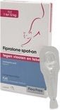 Fipralone spot on kat - NowVitamins - Exil - 8713112003358