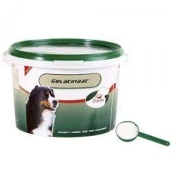 Gelatinaat hond - NowVitamins - Primeval - 8711697043110