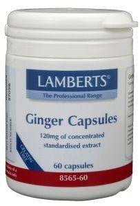 Gember (ginger) - NowVitamins - Lamberts - 5055148400019