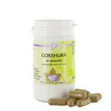 Gokshura - NowVitamins - Holisan - 8714226181130