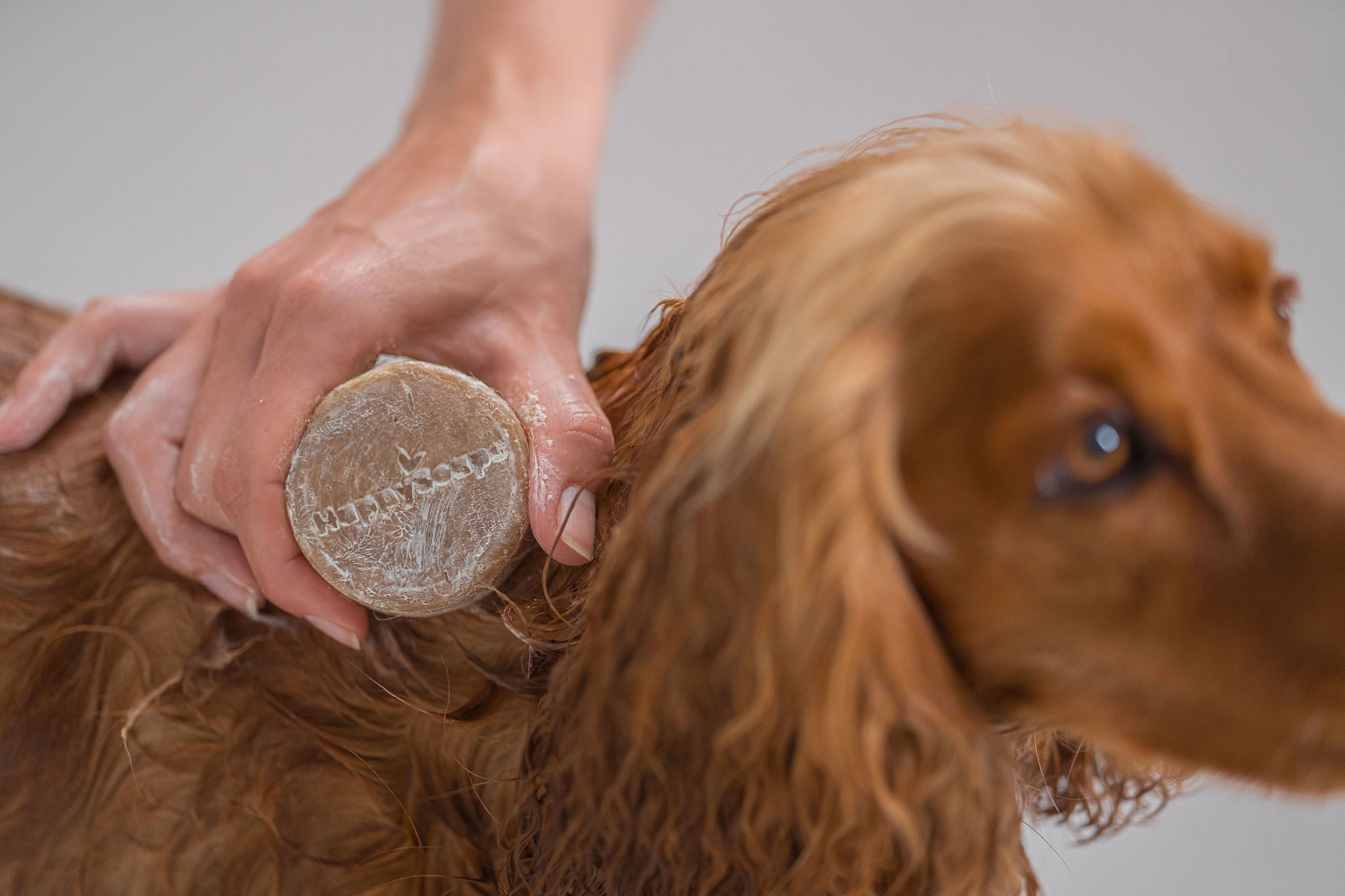 Honden Shampoo Bar – Lange Vacht - NowVitamins - HappySoaps - 100% plasticvrije cosmetica -