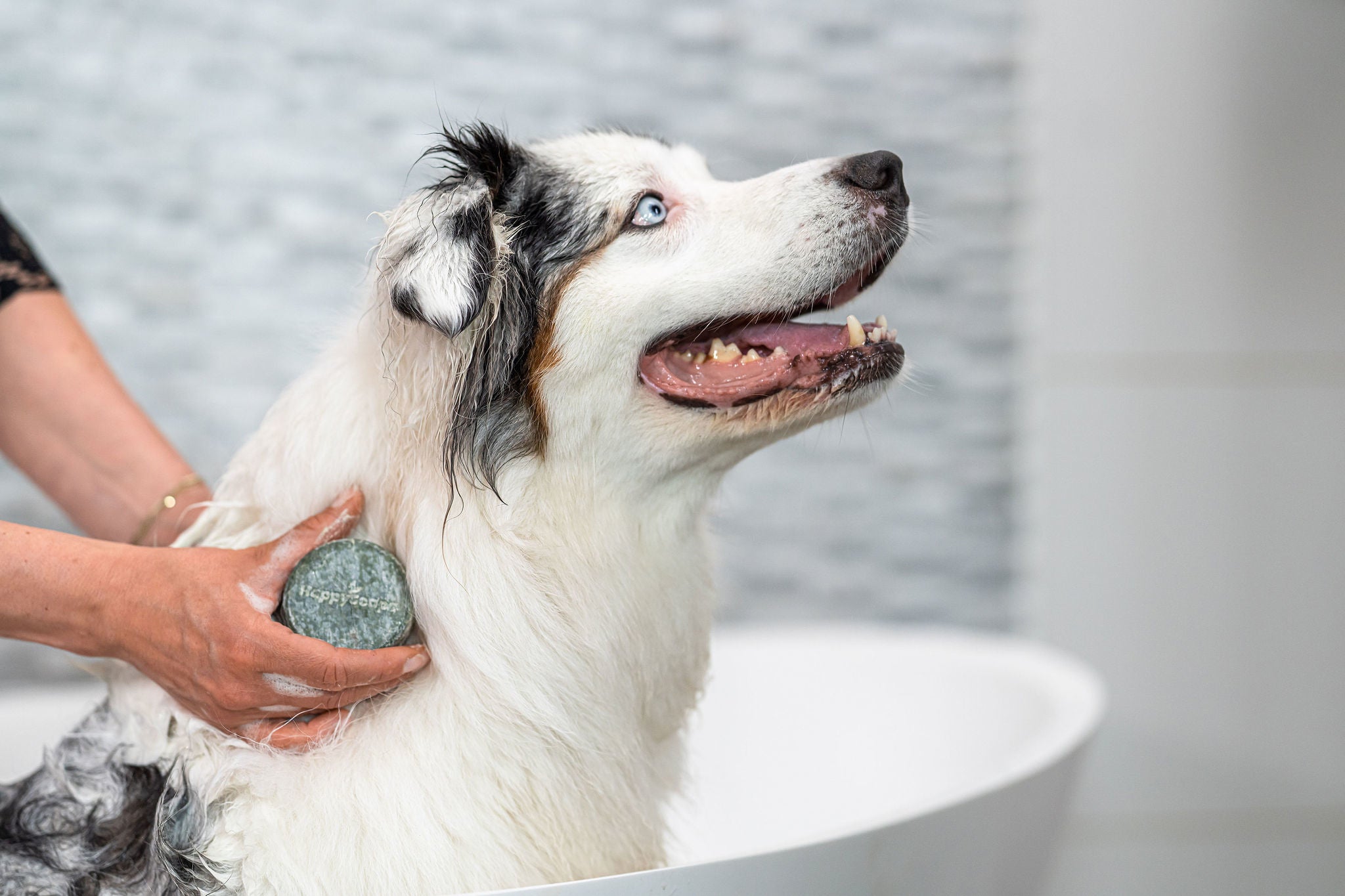 Honden Shampoo Bar – Universeel - NowVitamins - HappySoaps - 100% plasticvrije cosmetica - 8720572970007