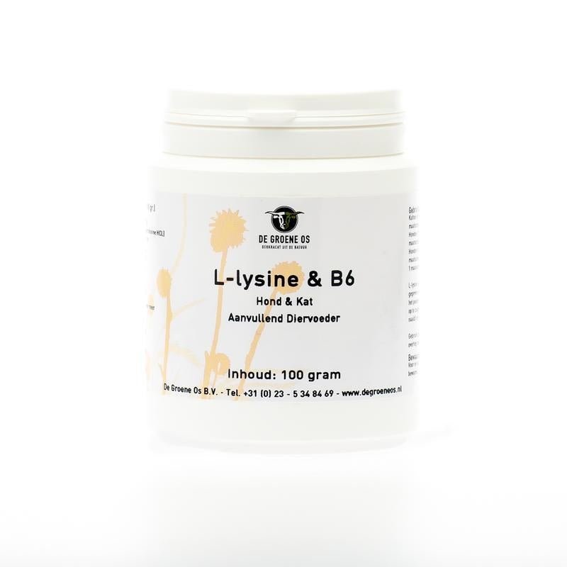 L-Lysine en Vitamine B6 hond/kat - NowVitamins - Groene Os - 8716378061421