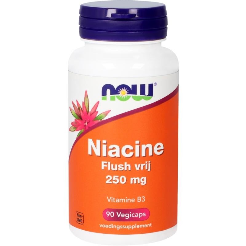Vitamine B3 Niacine Flush vrij 250 mg - NowVitamins - NOW Foods - 733739102720